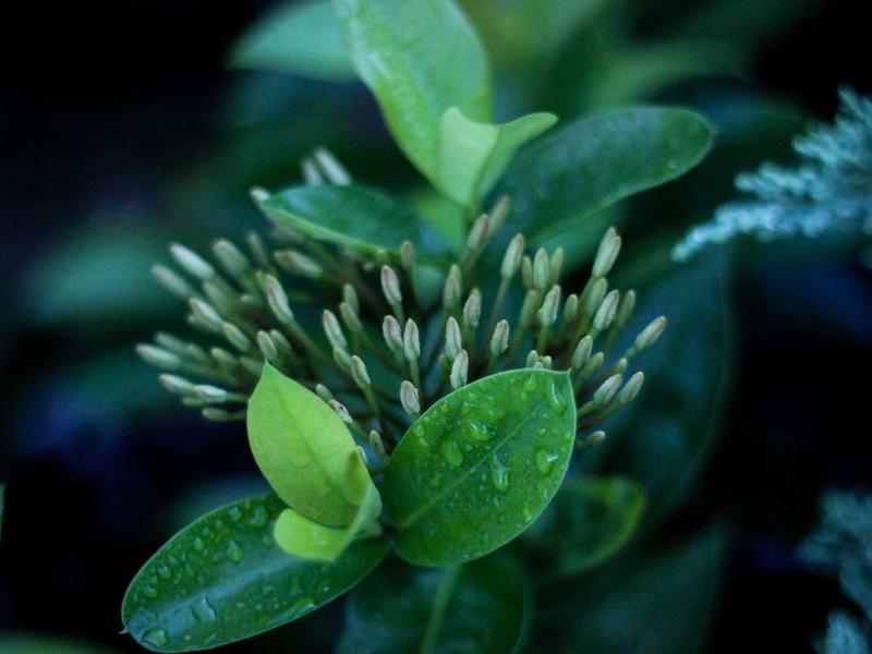 Llanta 185/65 R15 (unidad)